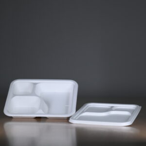 Baggasse 3 CP Tray With Lid