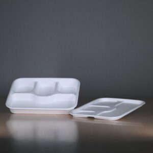 Baggasse 4 CP Tray with Lid