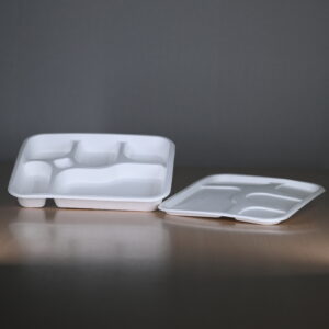 Baggasse 5CP Tray with Lid