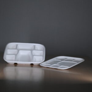 Baggasse 8CP Meal Tray